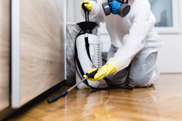 Best Pest Prevention Services  in Barview, OR