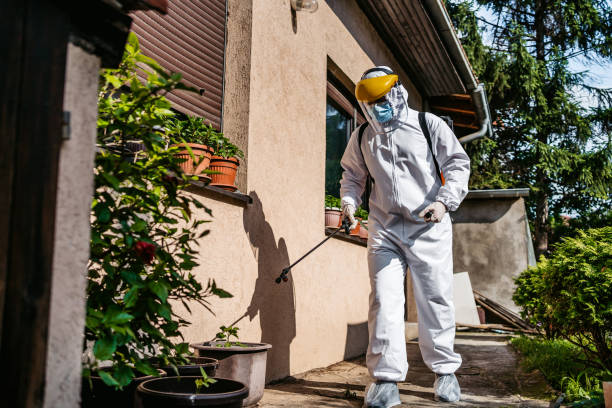 Best Local Pest Control Services  in Barview, OR