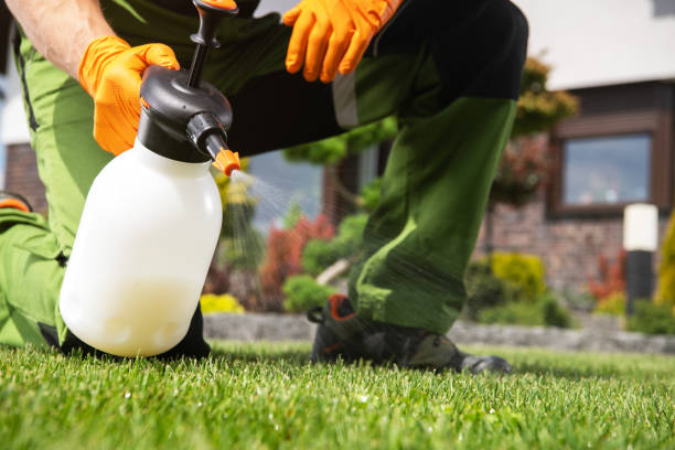 Best Wildlife Control Services  in Barview, OR
