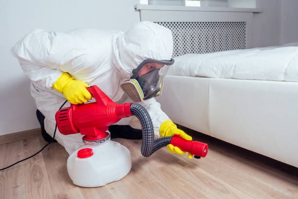 Best Termite Control Services  in Barview, OR