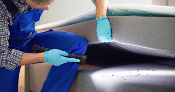 Best Emergency Pest Control  in Barview, OR