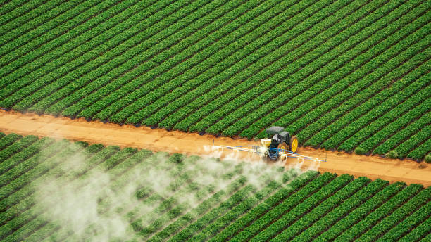 Best Pest Control for Homes  in Barview, OR