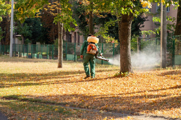 Best Cockroach Control Services  in Barview, OR