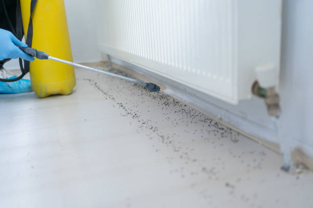 Best Pest Control Near Me  in Barview, OR