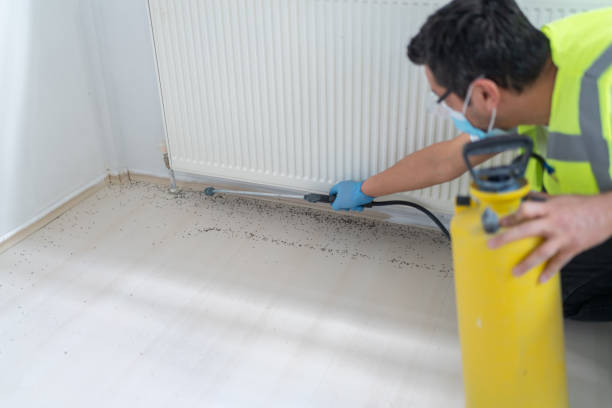 Pest Control Cost in Barview, OR