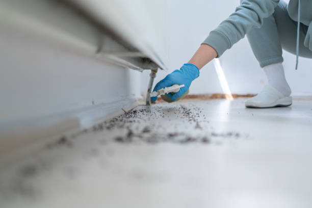Best Mosquito Control Services  in Barview, OR