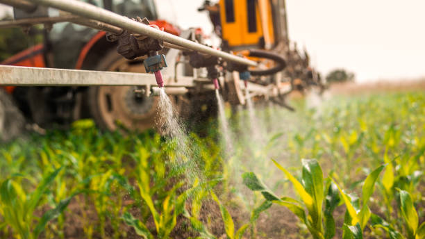 Best Commercial Pest Control Services  in Barview, OR